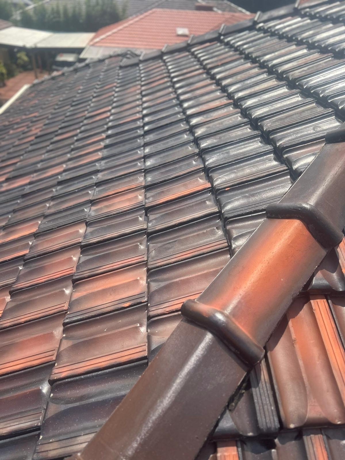 Professional roof cleaning Victoria